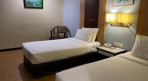 Palace Hotel image 24